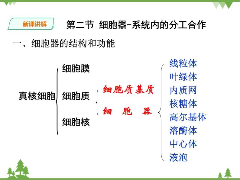 人教版生物必修一3.2《细胞器-系统内的分工合作》第二课时PPT课件+教学设计+同步练习05