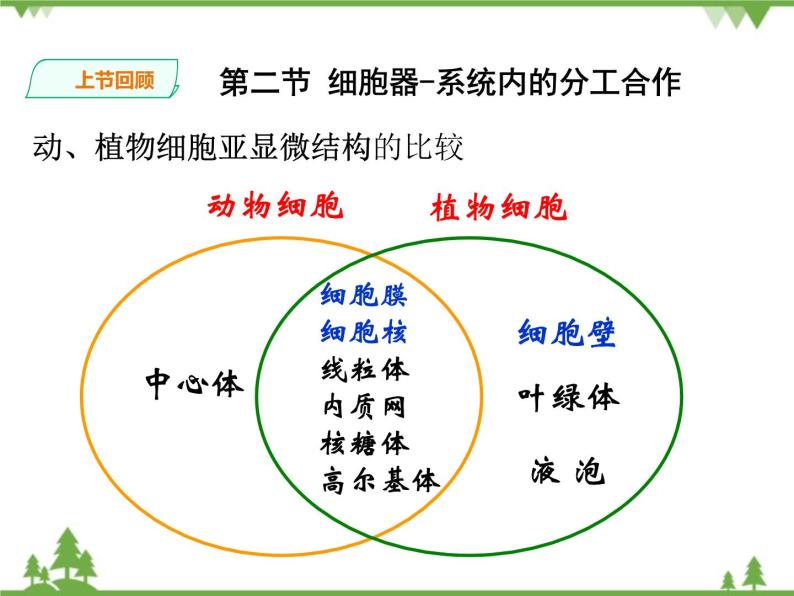 人教版生物必修一3.2《细胞器-系统内的分工合作》第二课时PPT课件+教学设计+同步练习02