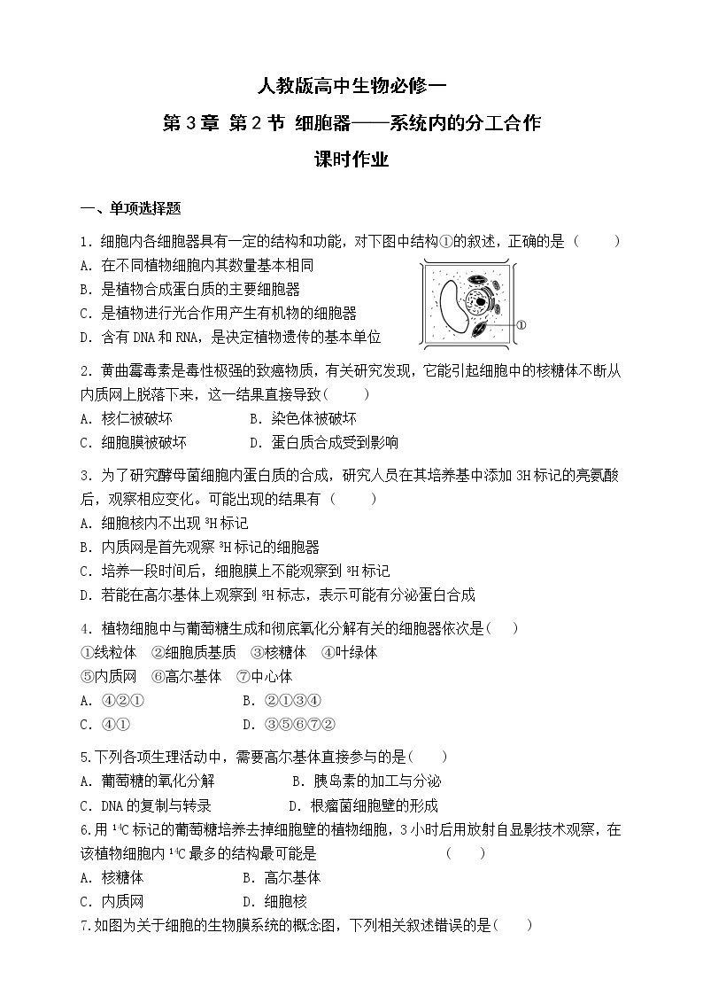 人教版生物必修一3.2《细胞器-系统内的分工合作》第二课时PPT课件+教学设计+同步练习01