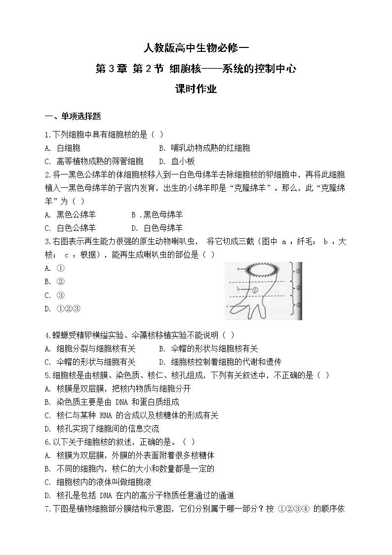 人教版生物必修一3.3《细胞核-系统控制中心》PPT课件+教学设计+同步练习01