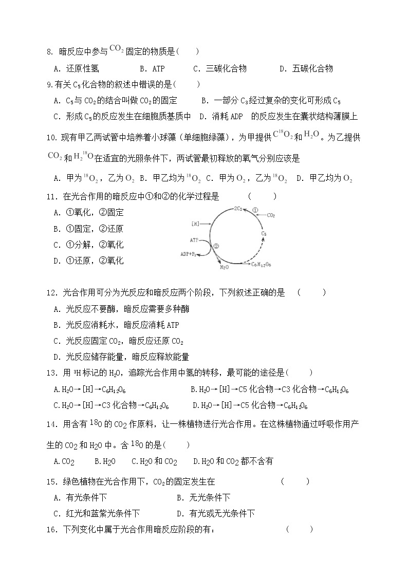 人教版生物必修一5.4（二）《光合作用的原理和应用》PPT课件+教学设计+同步练习02