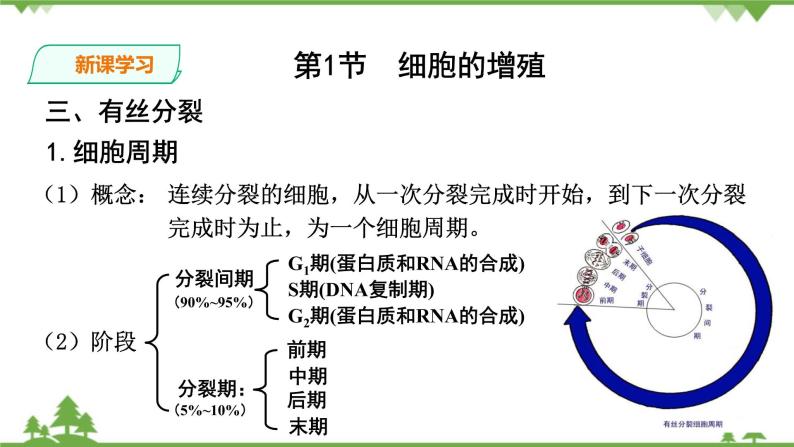 人教版生物必修一6.1《细胞的增殖》PPT课件+教学设计+同步练习08