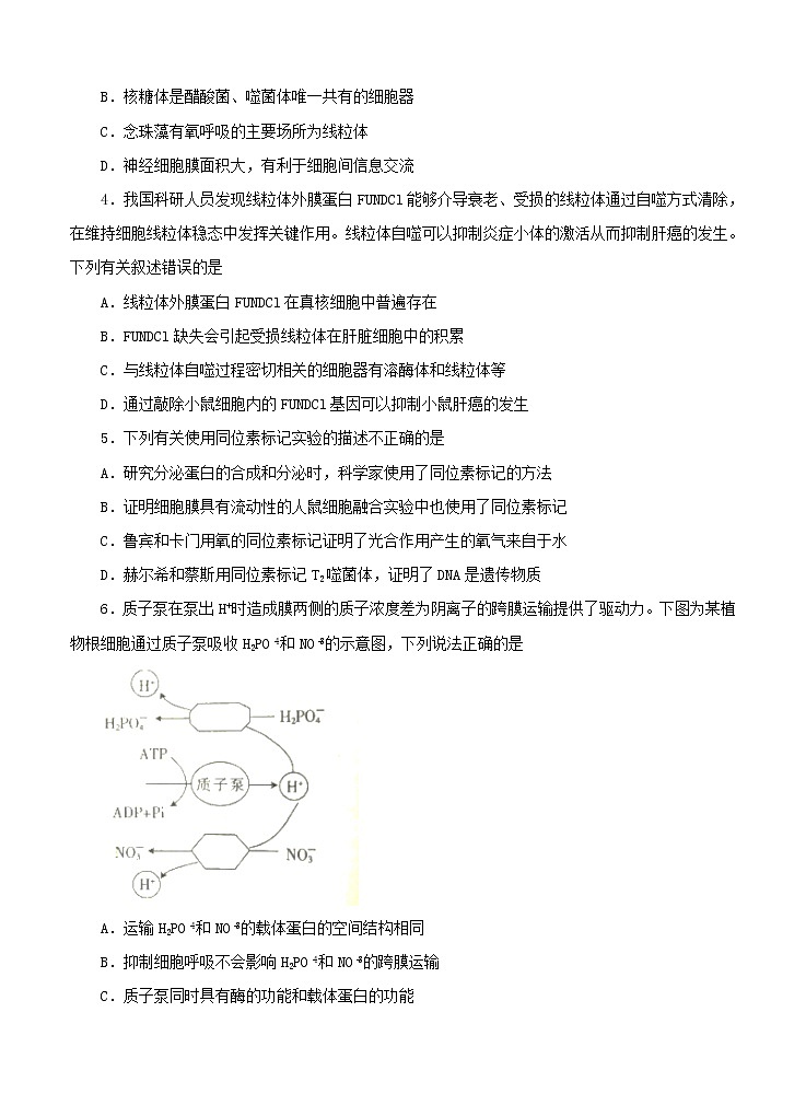 2021届高三上学期期中备考金卷 生物A卷(含答案)02