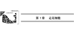 高效课堂同步课件：1-1从生物圈到细胞（必修1）