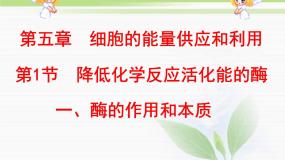 必修1 第5章 第1节降低化学反应活化能的酶 课件