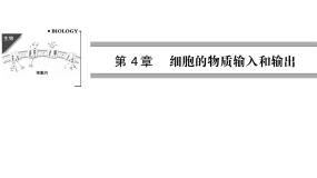 高效课堂同步课件：4-1物质跨膜运输的实例（必修1）