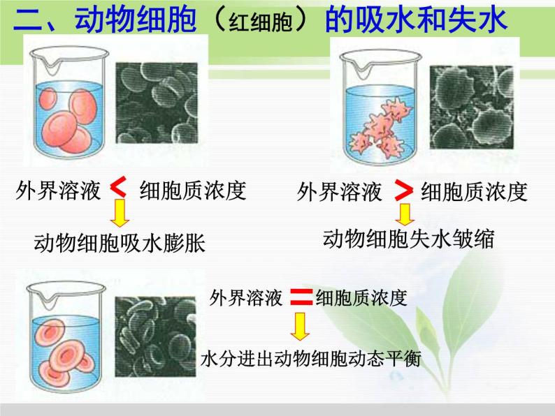 必修1 第4章 第1节物质跨膜运输的实例 课件07