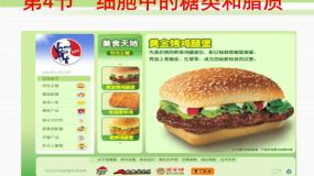 必修1 第2章 第4节细胞中的糖类和脂质 课件