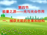 必修1 第5章 第4节能量之源——光与光合作用 课件