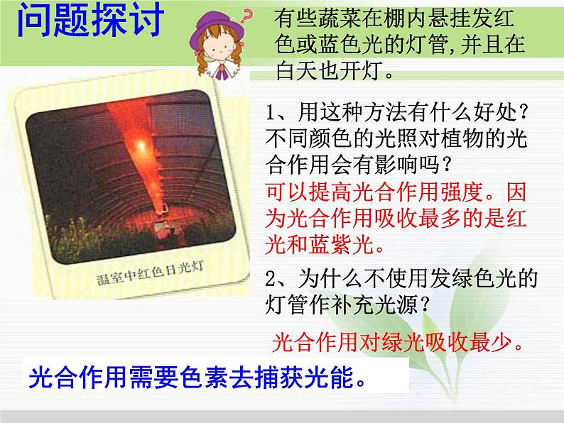 必修1 第5章 第4节能量之源——光与光合作用 课件02