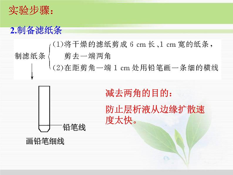 必修1 第5章 第4节能量之源——光与光合作用 课件05