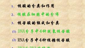 2.4 细胞中的糖类和脂质1 课件