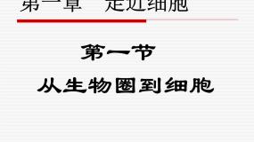1.1从生物圈到细胞 课件