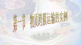 4.1 物质跨膜运输的实例 课件