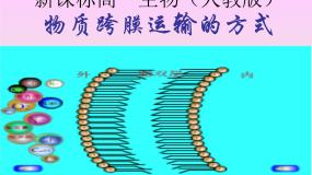 4.3 物质的跨膜运输方式 课件