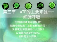 5.3  ATP的主要来源--细胞呼吸 课件