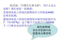 5.4 能量之源—光与光合作用 课件