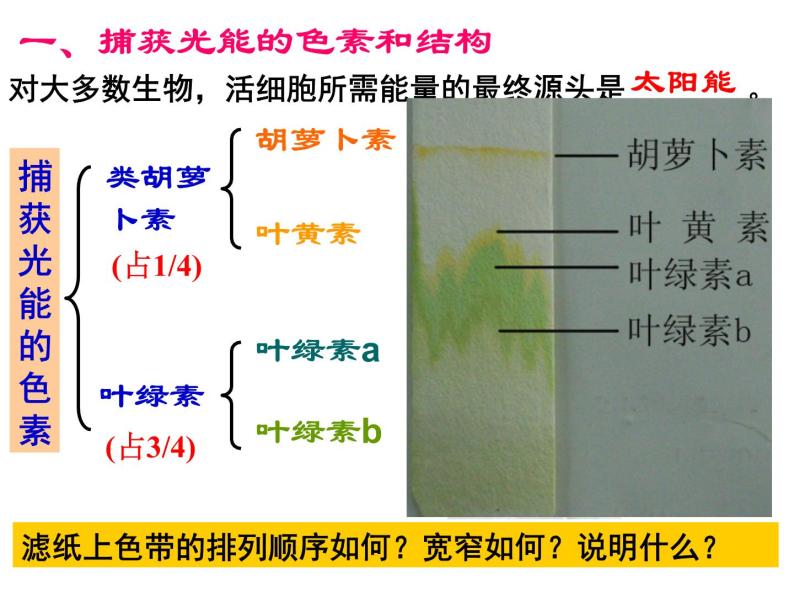 5.4 能量之源—光与光合作用 课件07