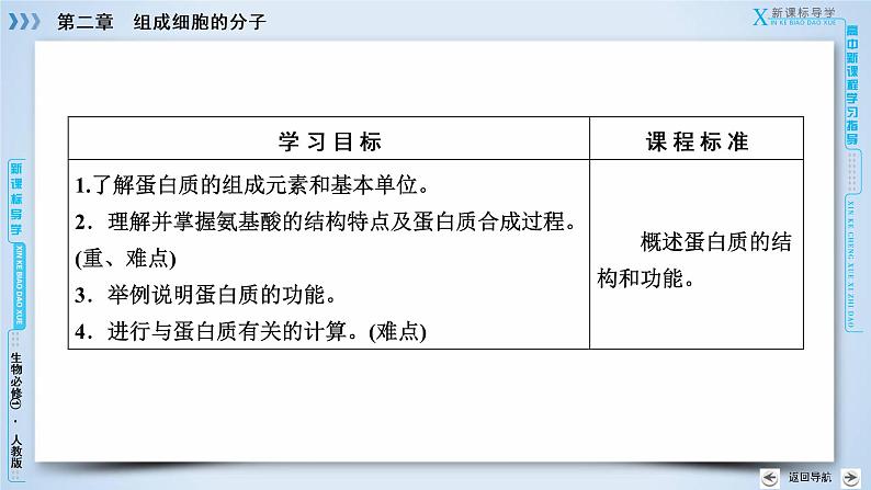 高中生物人教版必修1课件:第2章 第2节生命活动的主要承担者——蛋白质03