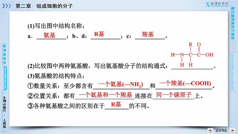 高中生物人教版必修1课件:第2章 第2节生命活动的主要承担者——蛋白质07