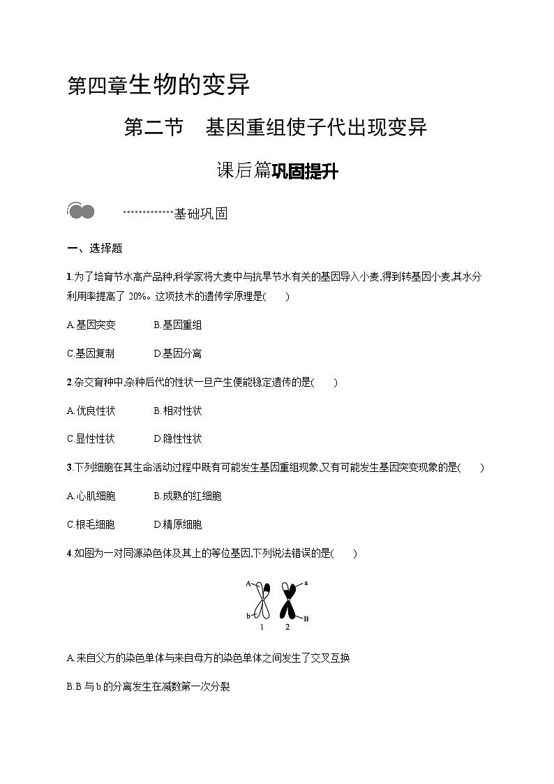 浙科版高中生物必修二同步练习:基因重组使子代出现变异教师+学生版01
