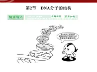 高效课堂同步课件：3-2DNA分子的结构（必修2）