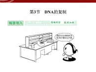 高效课堂同步课件：3-3DNA的复制（必修2）