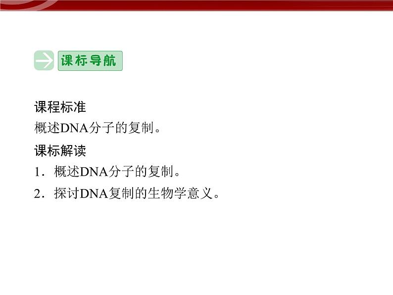 高效课堂同步课件:3-3DNA的复制(必修2)02