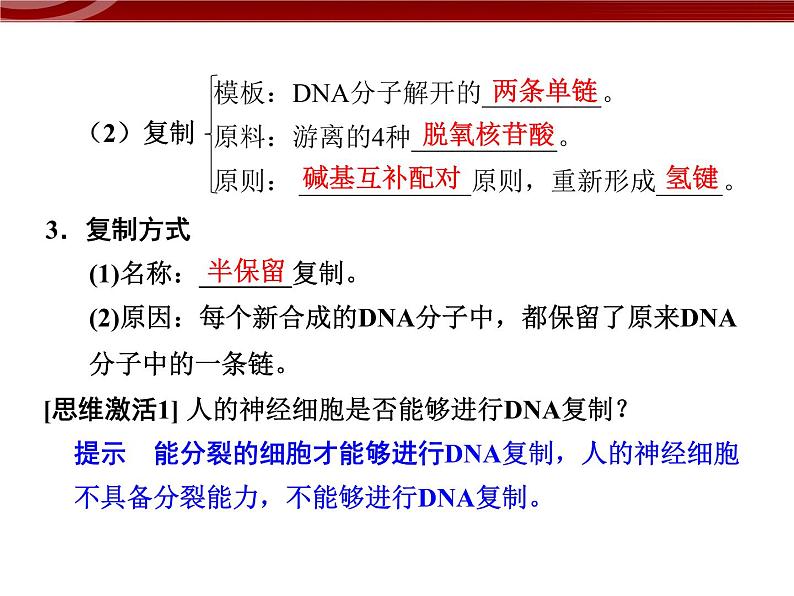 高效课堂同步课件:3-3DNA的复制(必修2)04