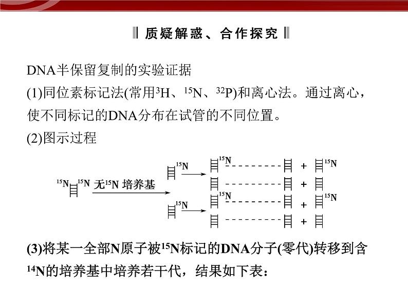 高效课堂同步课件:3-3DNA的复制(必修2)05