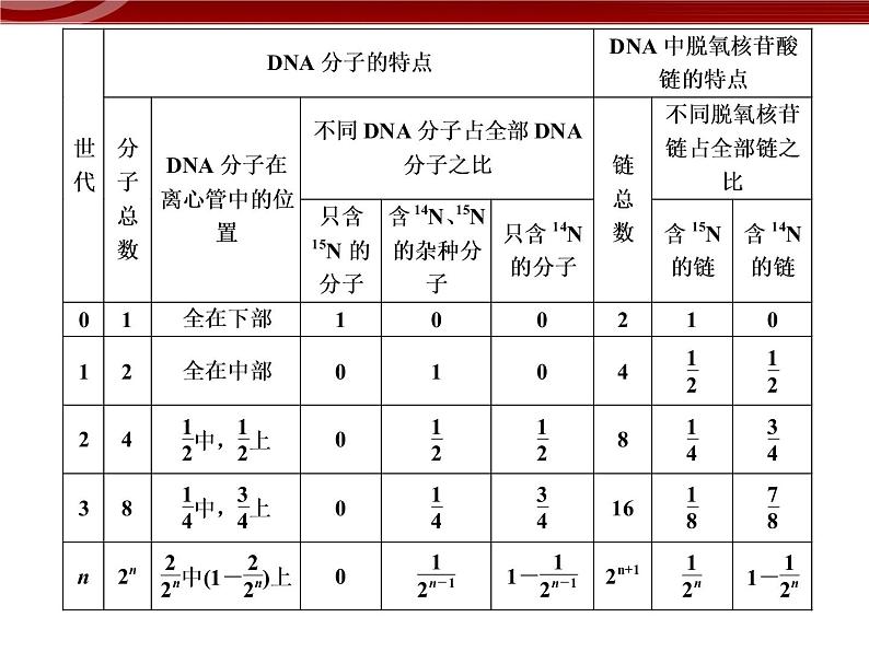 高效课堂同步课件:3-3DNA的复制(必修2)06