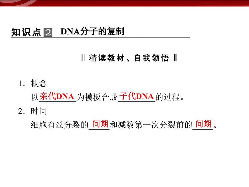 高效课堂同步课件:3-3DNA的复制(必修2)08