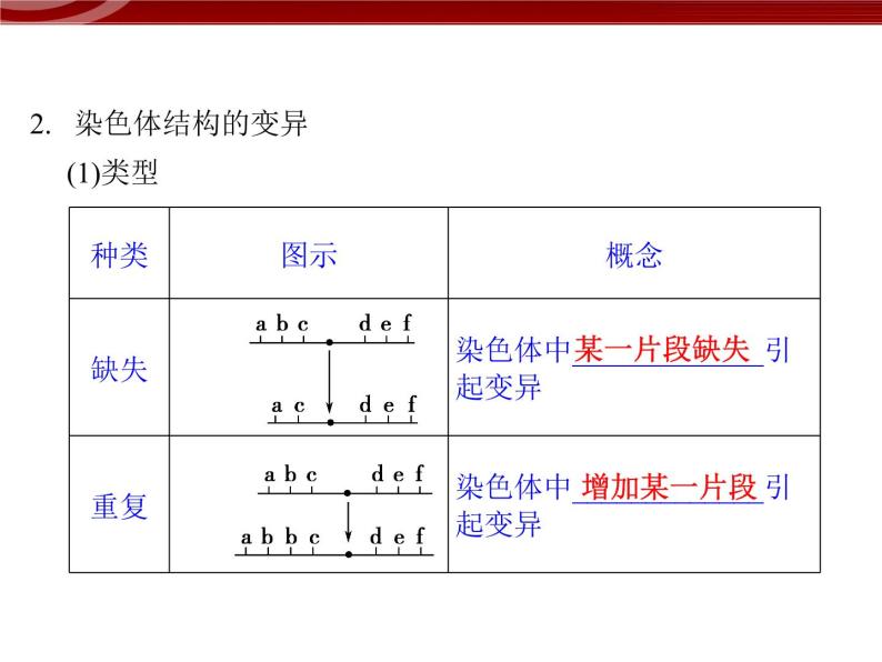高效课堂同步课件：5-2-1染色体变异（必修2）04