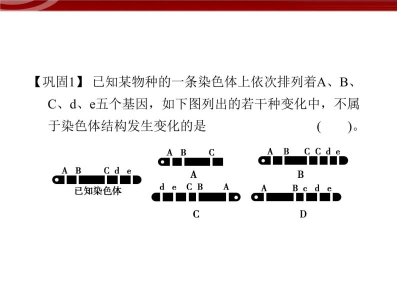 高效课堂同步课件：5-2-1染色体变异（必修2）08