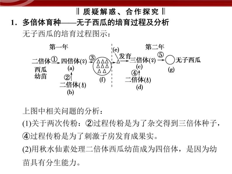 高效课堂同步课件：5-2-2染色体变异（必修2）03