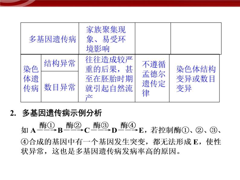 高效课堂同步课件：5-3人类遗传病（必修2）06