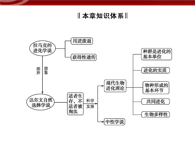 高效课堂同步课件:章末整合7《现代生物进化理论》(必修2)02