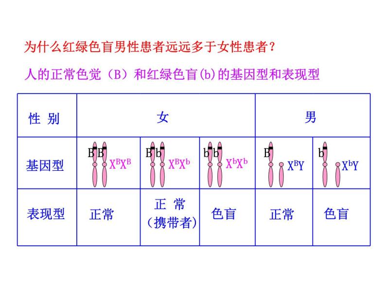 高中生物同步课件：第2章 第3节  伴性遗传（人教版必修2）08