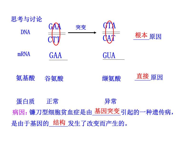 高中生物同步课件：第5章 第1节  基因突变和基因重组（人教版必修2）08