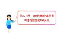 高中生物同步课件：第3章 第3、4节  DNA的复制·基因是有遗传效应的DNA片段（人教版必修2）