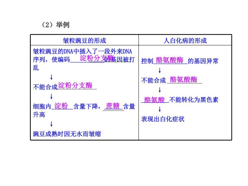 【人教版】高中生物必修二《 4.2 基因对性状的控制》课件104