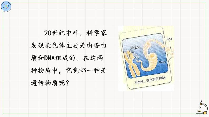 北师大版高中生物必修第二册：DNA是主要遗传物质的探索 课件PPT+教案+学案02