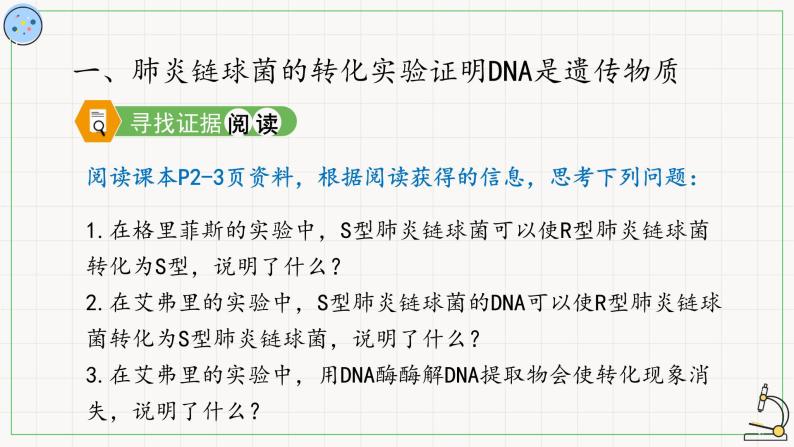 北师大版高中生物必修第二册：DNA是主要遗传物质的探索 课件PPT+教案+学案03
