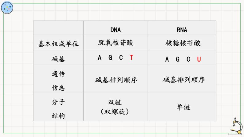 北师大版高中生物必修第二册：转录 课件PPT+教案+学案06