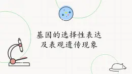 北師大版高中生物必修第二冊：基因的選擇性表達及表觀遺傳現(xiàn)象 課件PPT+教案+學案