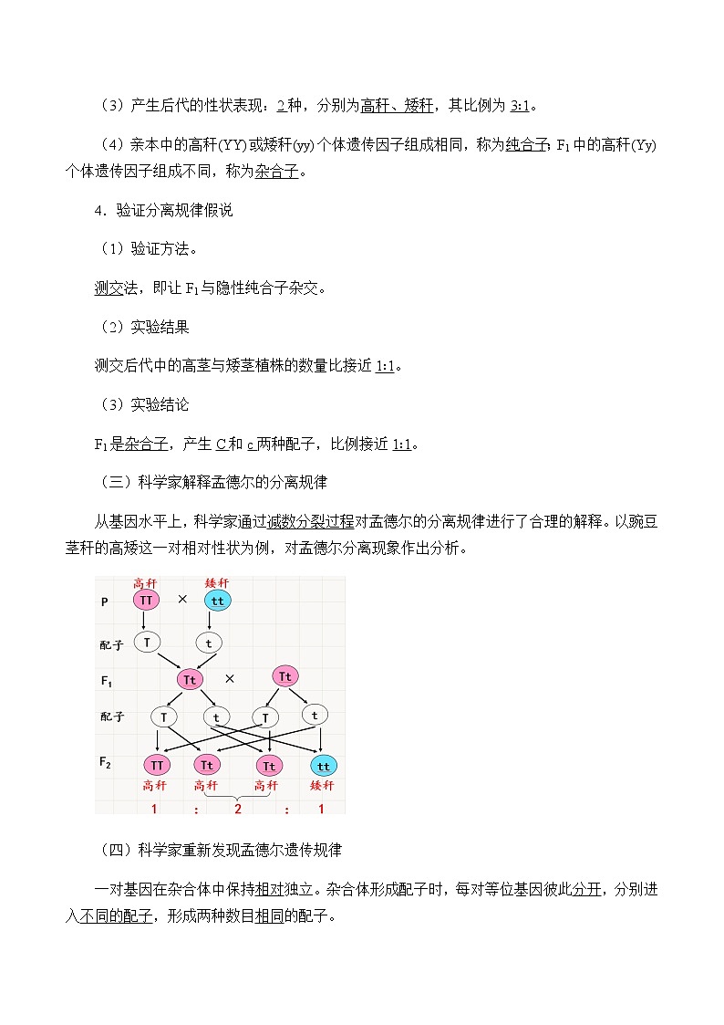 北师大版高中生物必修第二册:孟德尔对基因分离规律的探索 课件PPT+教案+学案03