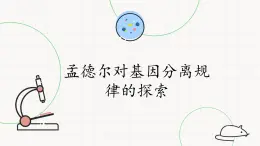 北师大版高中生物必修第二册：孟德尔对基因分离规律的探索 课件PPT+教案+学案