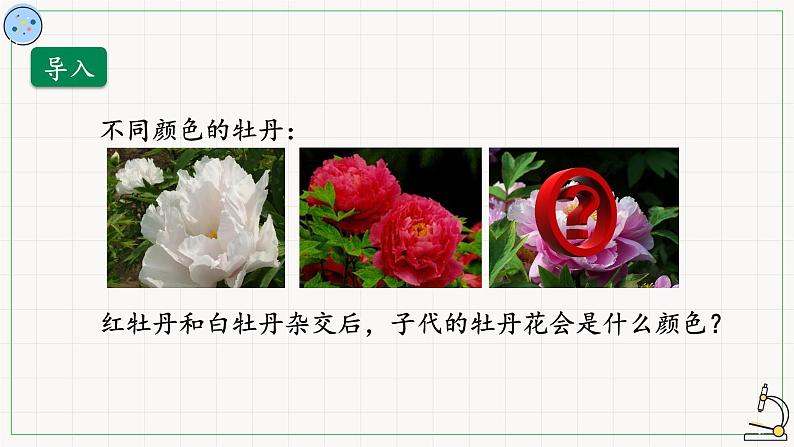 北师大版高中生物必修第二册:孟德尔对基因分离规律的探索 课件PPT+教案+学案03
