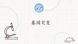 北師大版高中生物必修第二冊：基因突變 課件PPT+教案+學(xué)案