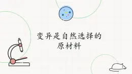 北師大版高中生物必修第二冊：變異是自然選擇的原材料 課件PPT+教案+學(xué)案